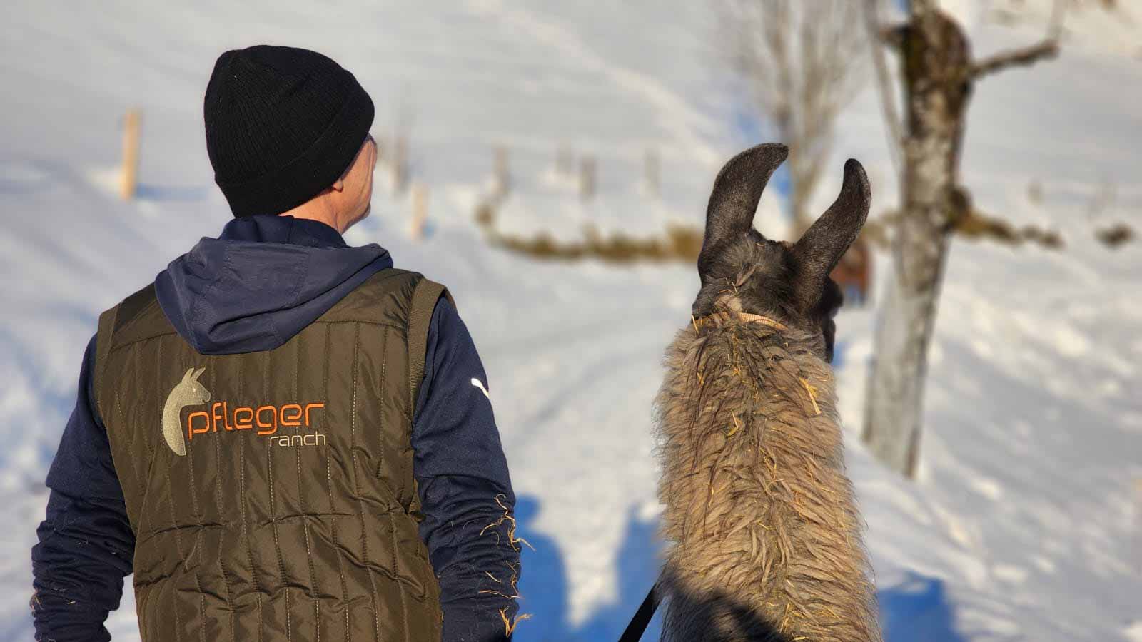 Pfleger Ranch Lama Spaziergänge