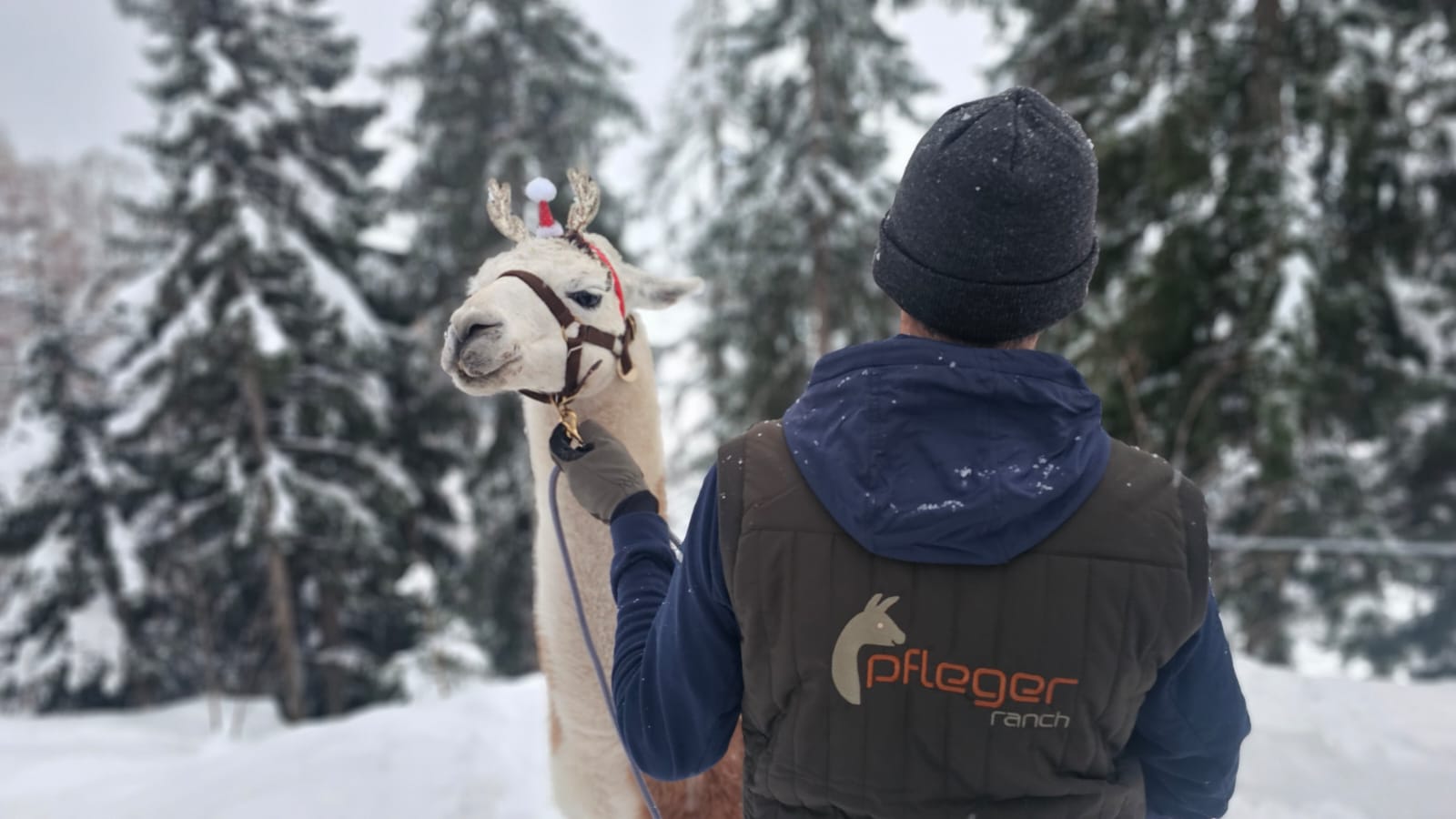 Ppfleger Ranch Berufsbekleidung narrischgu.at