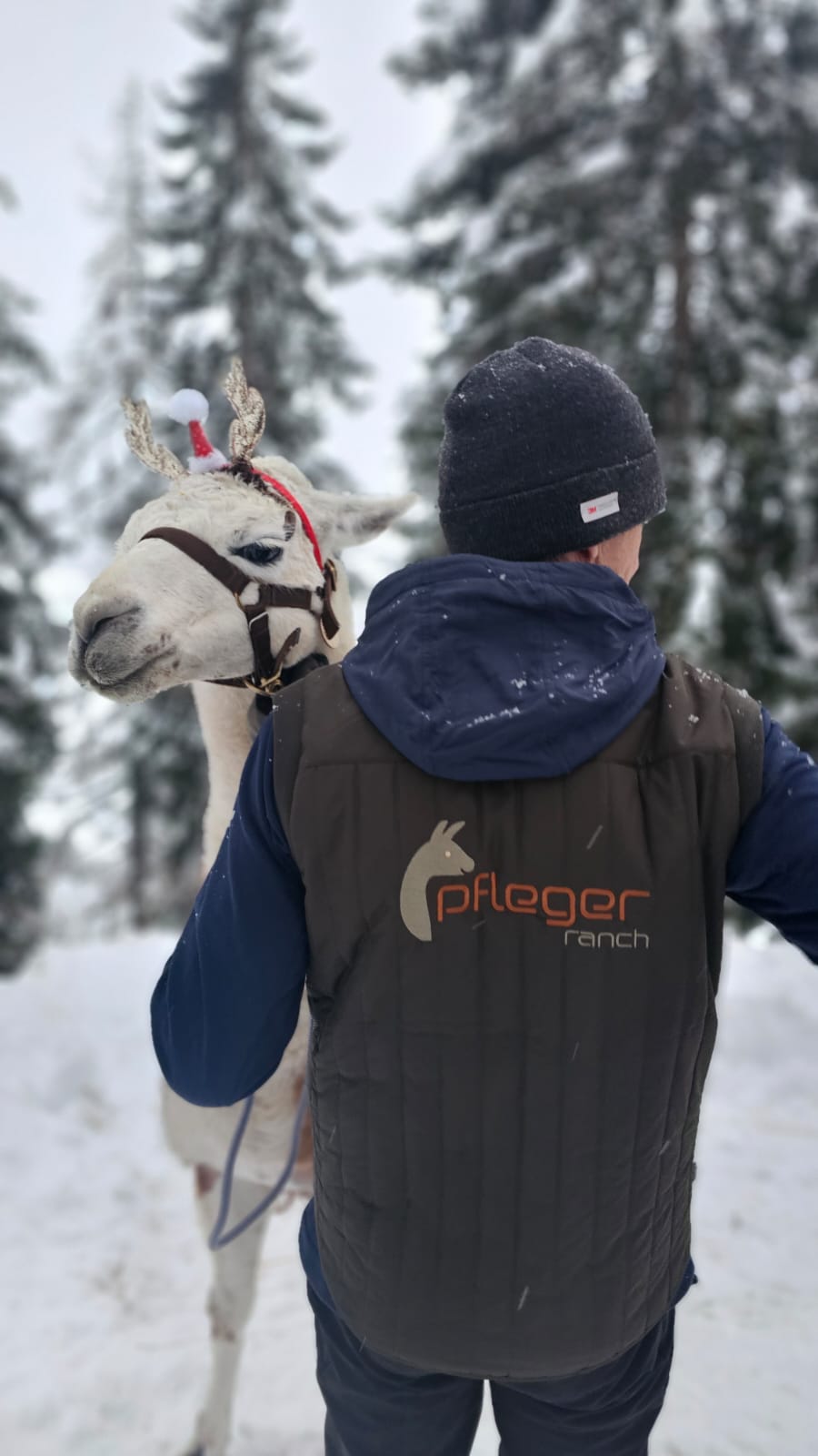 Lama Christkind Pfleger Ranch