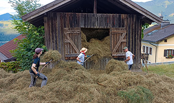 Heuernte auf der Pfleger Ranch Heuernte auf der Pfleger Ranch