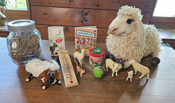 Aktivität Schule am Bauernhof Pfleger Ranch