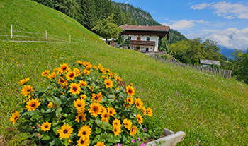 Die Pfleger Ranch am Schönegg Gut in Bischofshofen Die Pfleger Ranch am Schönegg Gut in Bischofshofen