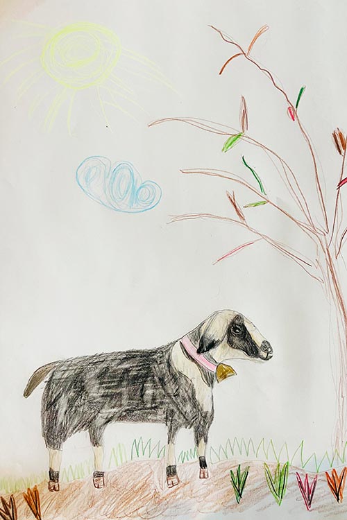 Lilly gezeichnet von Mavi Fe